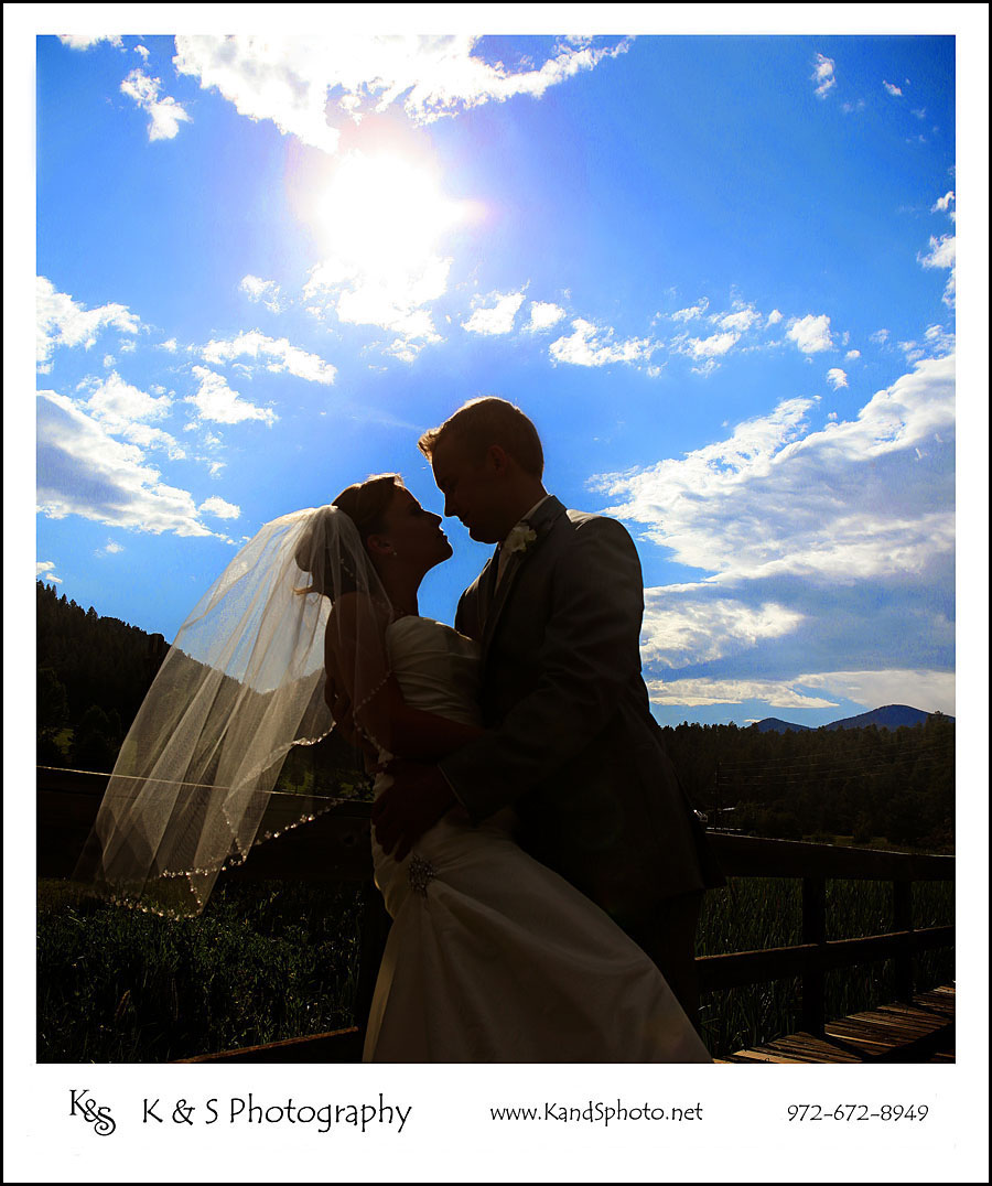 Dallas Brides - We Need Your Help | Dallas Wedding Photographers Dallas Brides - We Need Your Help | Dallas Wedding Photographers