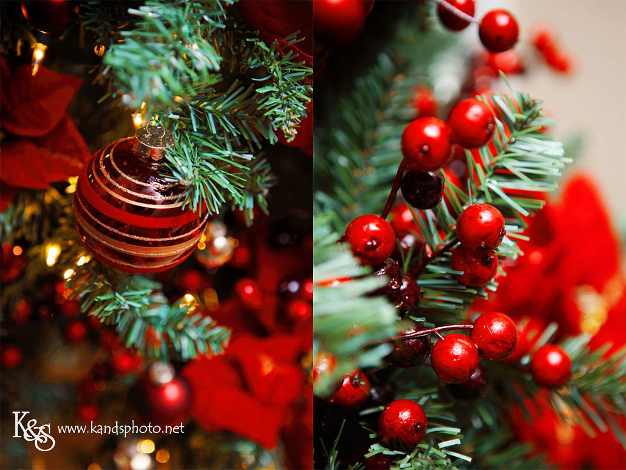 Deck the Halls | Dallas Wedding Photographers Deck the Halls | Dallas Wedding Photographers