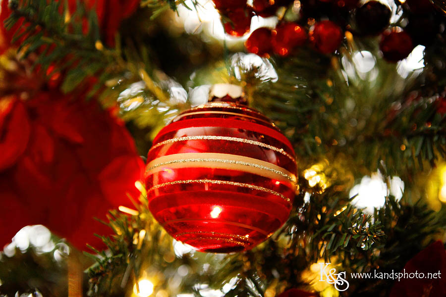 Deck the Halls | Dallas Wedding Photographers Deck the Halls | Dallas Wedding Photographers