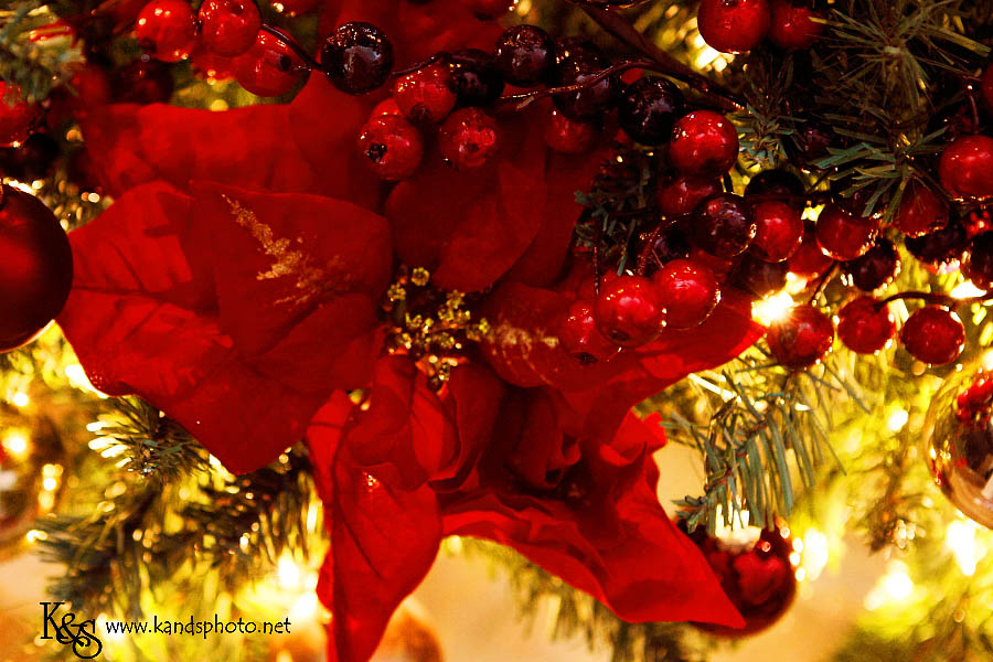 Deck the Halls | Dallas Wedding Photographers Deck the Halls | Dallas Wedding Photographers