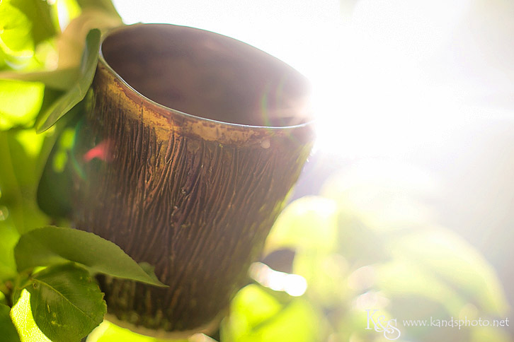 Dallas Wedding Photographers - K & S Photography