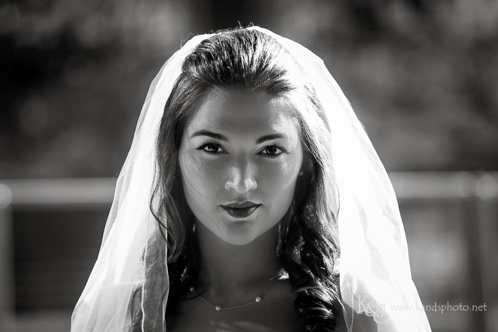top dallas wedding photographer