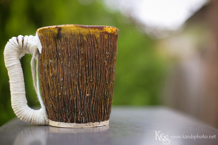 Dallas Wedding Photographers - K & S Photography