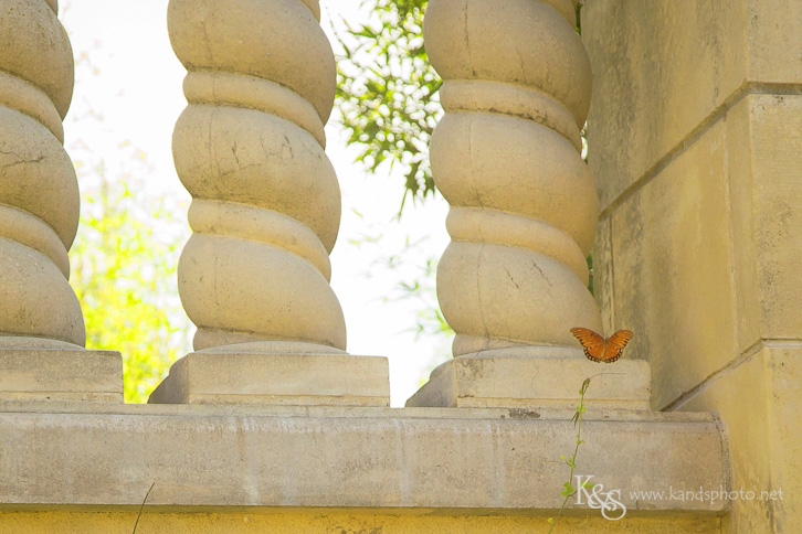 dallas same sex elopement-0