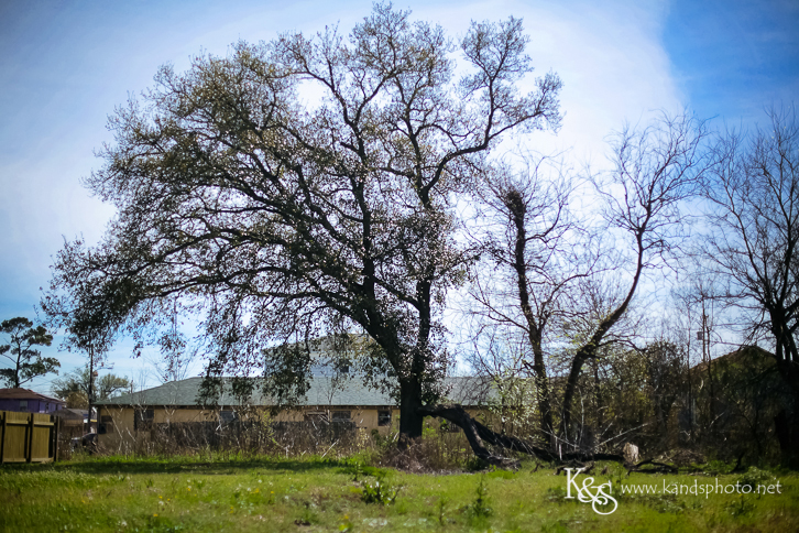 New Orleans Photographer- K & S Photography