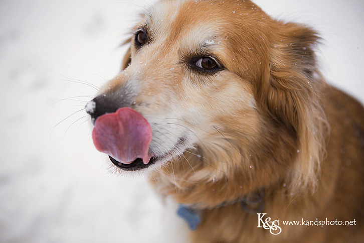 Downtown Dallas Wedding Wedding Photographers - K & S Photograph