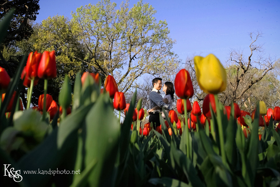 Dallas Wedding Photographers - K & S Photography