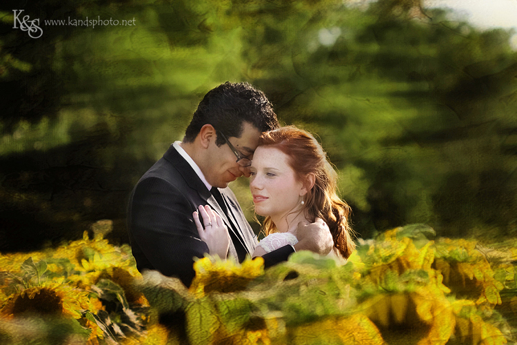 Dallas Wedding Photographers - K & S Photography