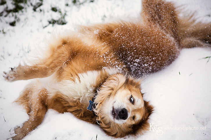 Downtown Dallas Wedding Wedding Photographers - K & S Photograph