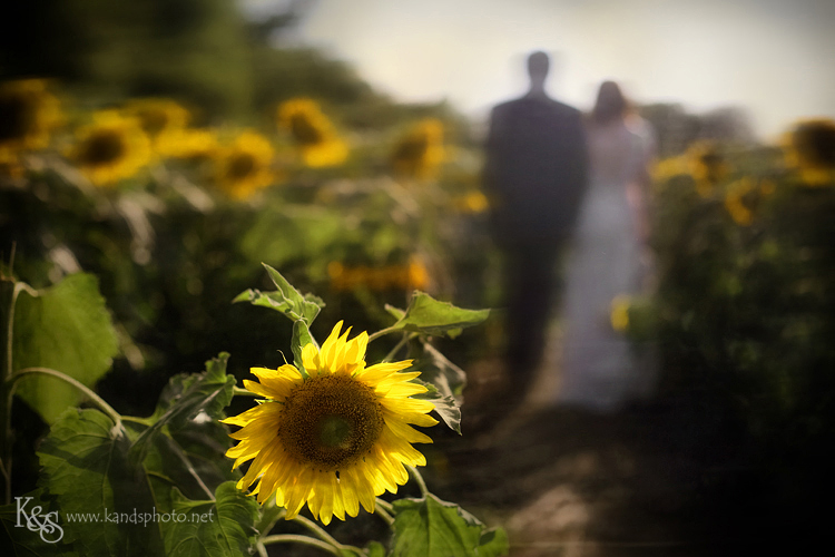 Dallas Wedding Photographers - K & S Photography