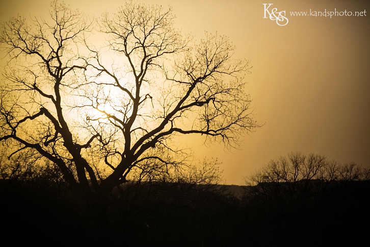 Dallas Wedding Photographers - K & S Photography