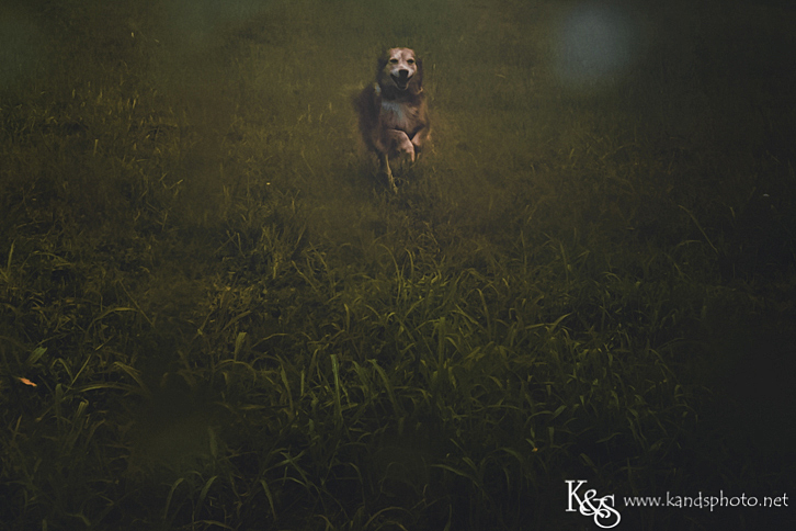 Dallas Wedding Photographers - K & S Photography