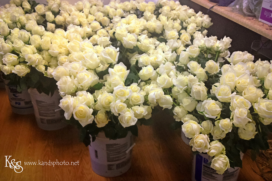 Dallas Wedding Photographers - K & S Photography