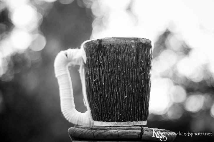 Dallas Wedding Photographers - K & S Photography