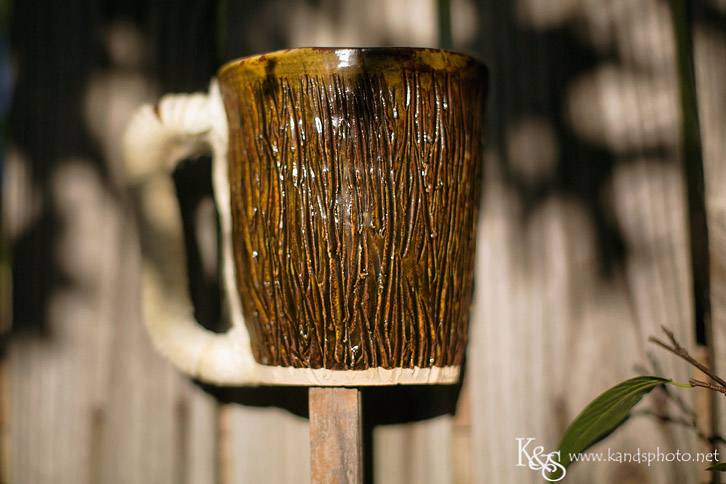 Dallas Wedding Photographers - K & S Photography