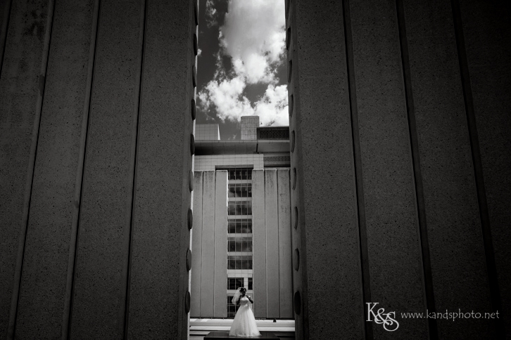 dallas wedding bridal old red museum dallas