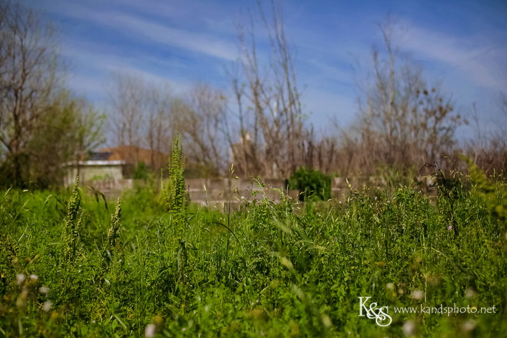 New Orleans Photographer- K & S Photography