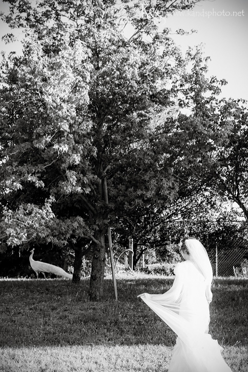 Clark Gardens Wedding in Weatherford by Dallas Wedding Photographers - K & S Photography