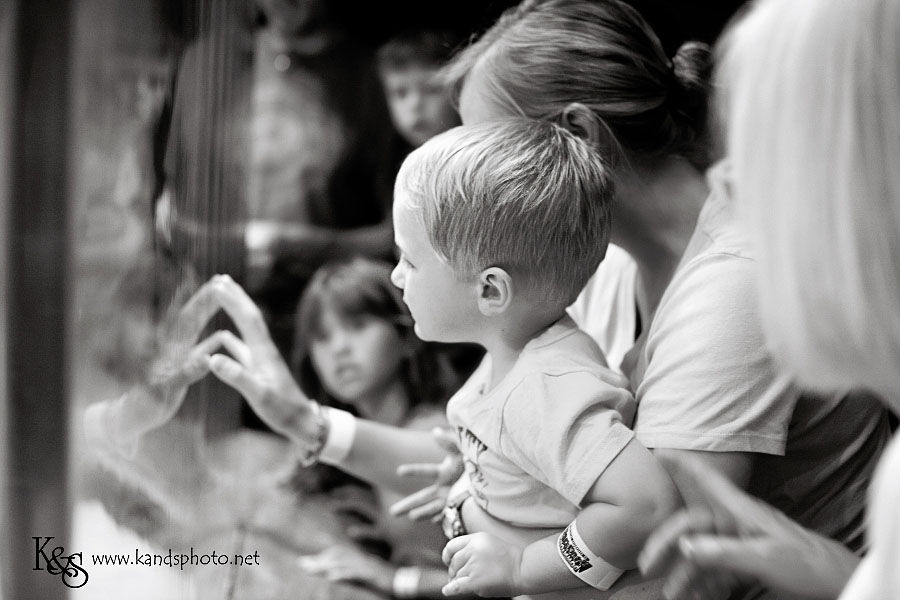 Benoit Family PIctures taken in Denver Colorado