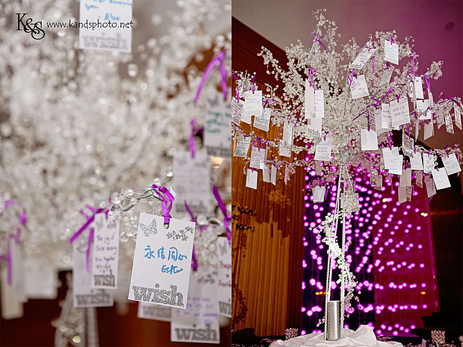 Dallas Wedding Photographers - Philip and Amy's Wedding at the W Hotel