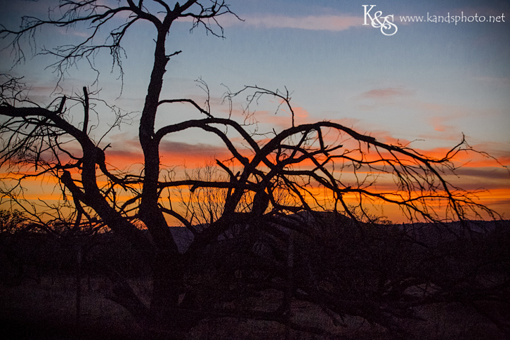 Dallas Wedding Photographers - K & S Photography