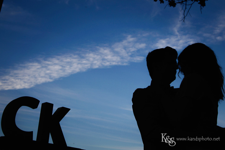 Engagments in Dallas