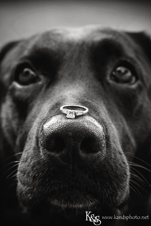 Dallas Wedding Photographers - K & S Photography