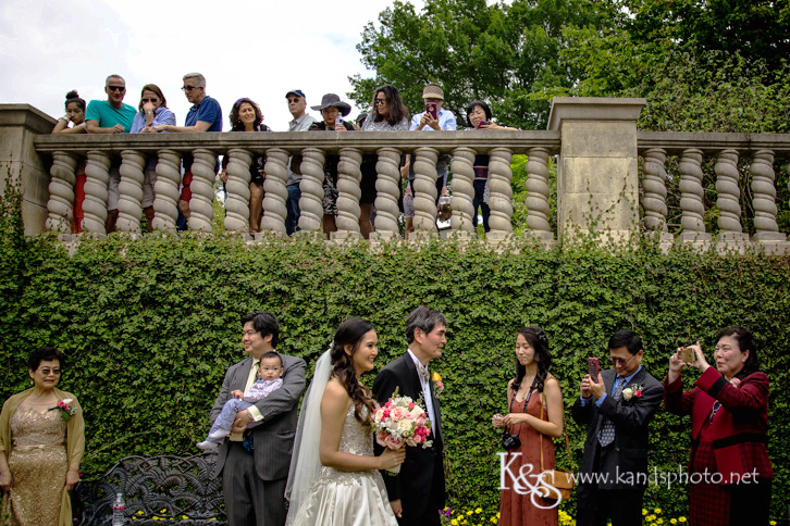 dallas chinese wedding photographer