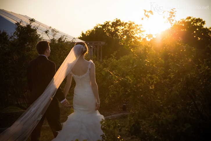 Clark Gardens Wedding in Weatherford by Dallas Wedding Photographers - K & S PhotographyClark Gardens Wedding in Weatherford by Dallas Wedding Photographers - K & S Photography