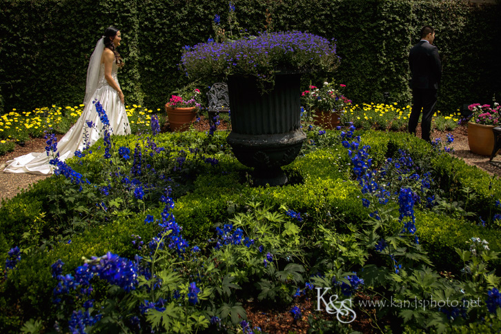 dallas chinese wedding photographer