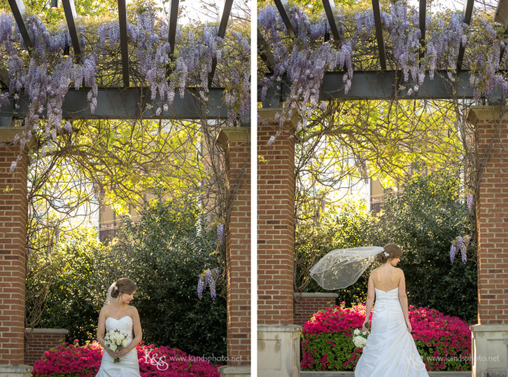 lee park dallas bridals