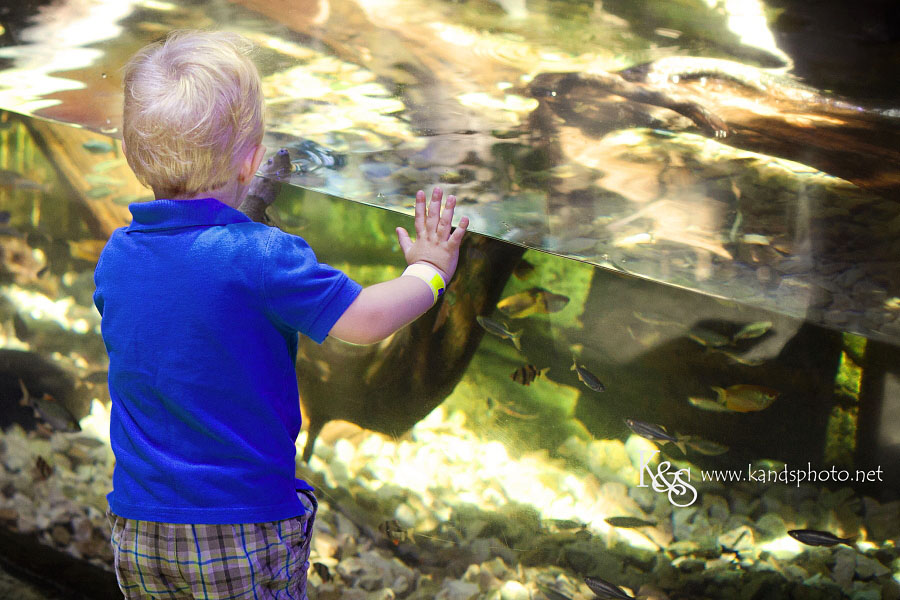 Benoit Family PIctures taken in Denver Colorado