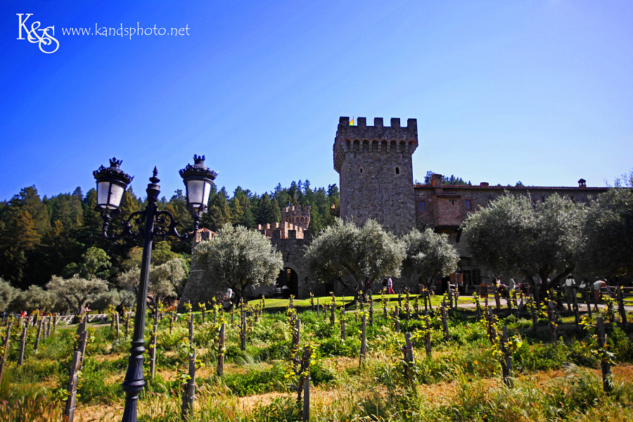Wine Tasting in Napa Valley California | Napa Valley and Dallas Wedding Photographers