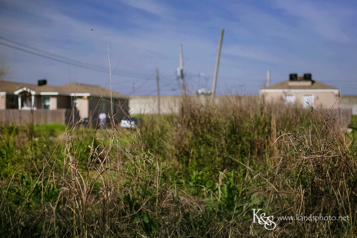 New Orleans Photographer- K & S Photography