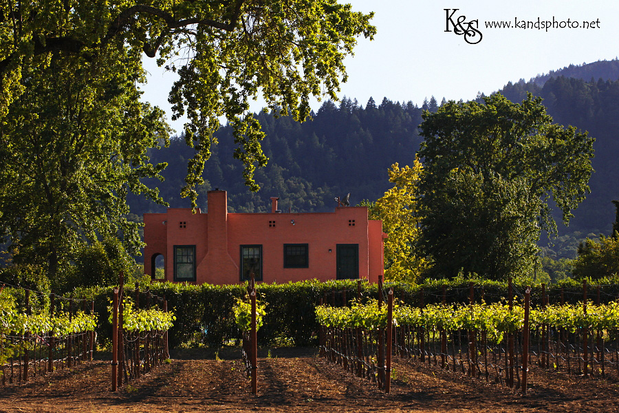 Wine Tasting in Napa Valley California | Napa Valley and Dallas Wedding Photographers