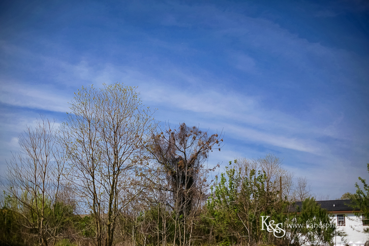 New Orleans Photographer- K & S Photography