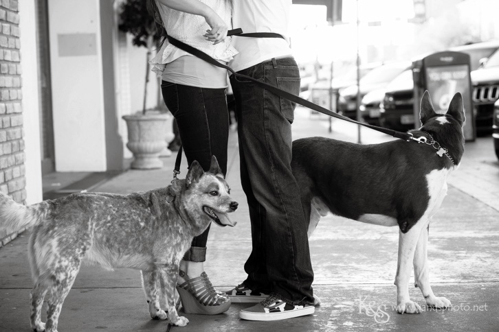 denton wedding photographer