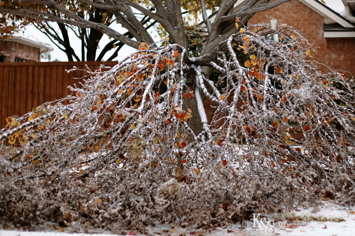 Dallas Wedding Photographers - K & S Photography