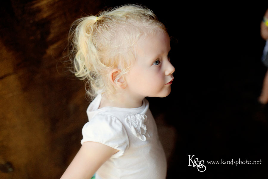 Benoit Family PIctures taken in Denver Colorado