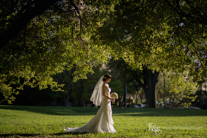 lee park dallas bridals