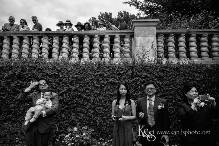 dallas chinese wedding photographer