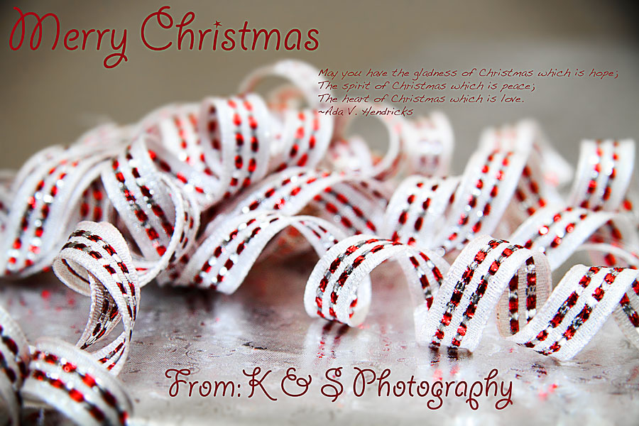 Merry Christmas from Dallas Wedding Photographers, K & S Photography