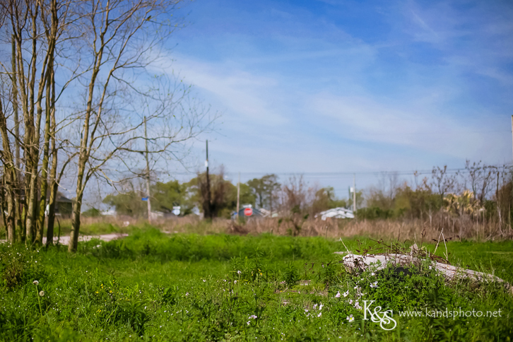 New Orleans Photographer- K & S Photography