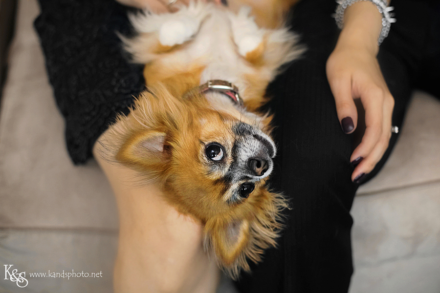 Dallas Wedding Photographers - K & S Photography