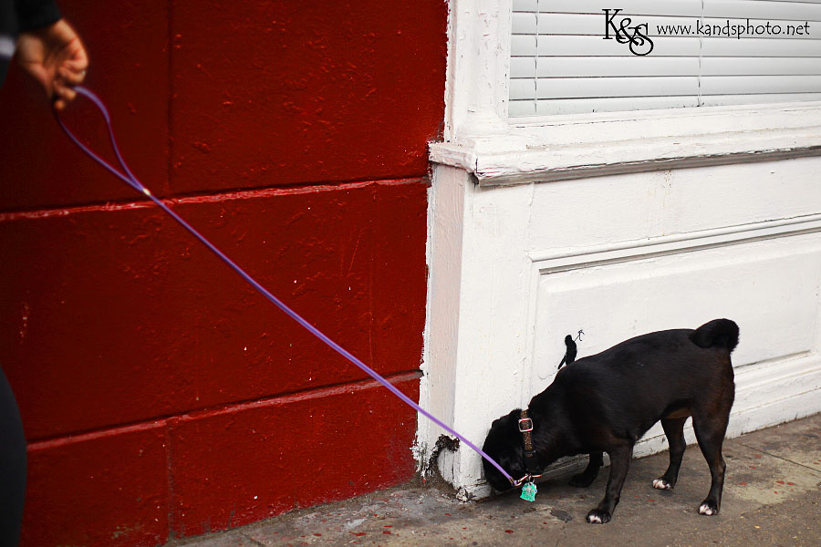 Street Photography in New Orleans Part 1