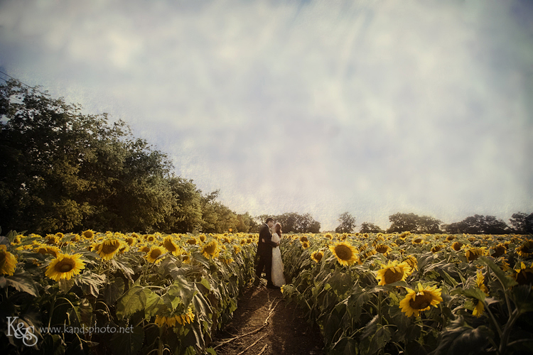 Dallas Wedding Photographers - K & S Photography 