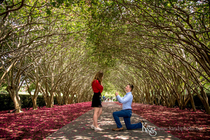 dallas arboretum proposal