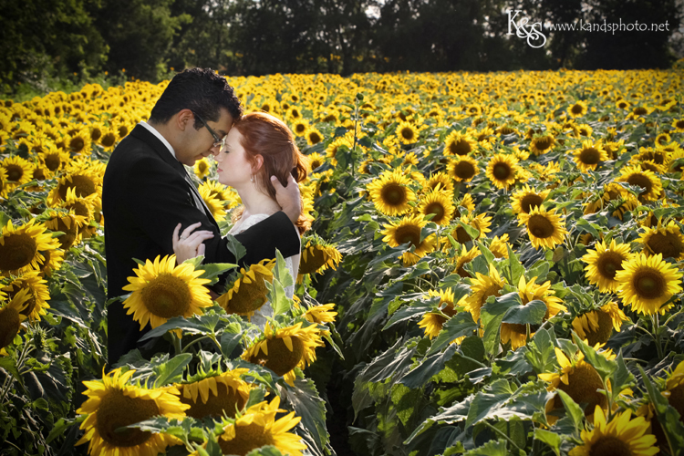 Dallas Wedding Photographers - K & S Photography