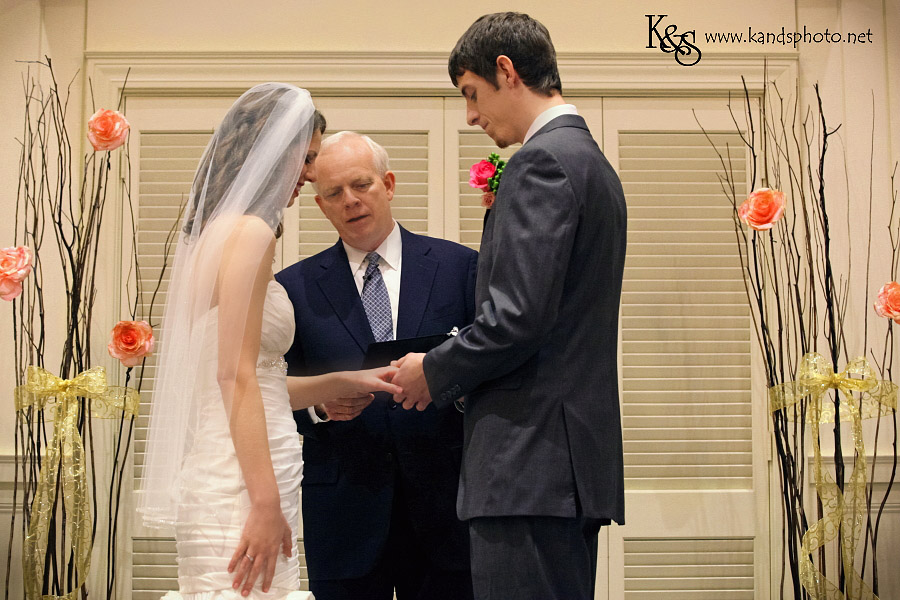 Tim and Ellen's Wedding at Granville Arts Center