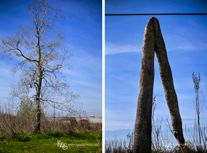 New Orleans Photographer- K & S Photography